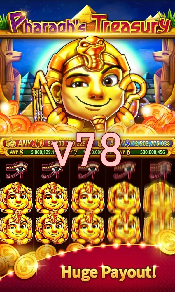 v78 Akses